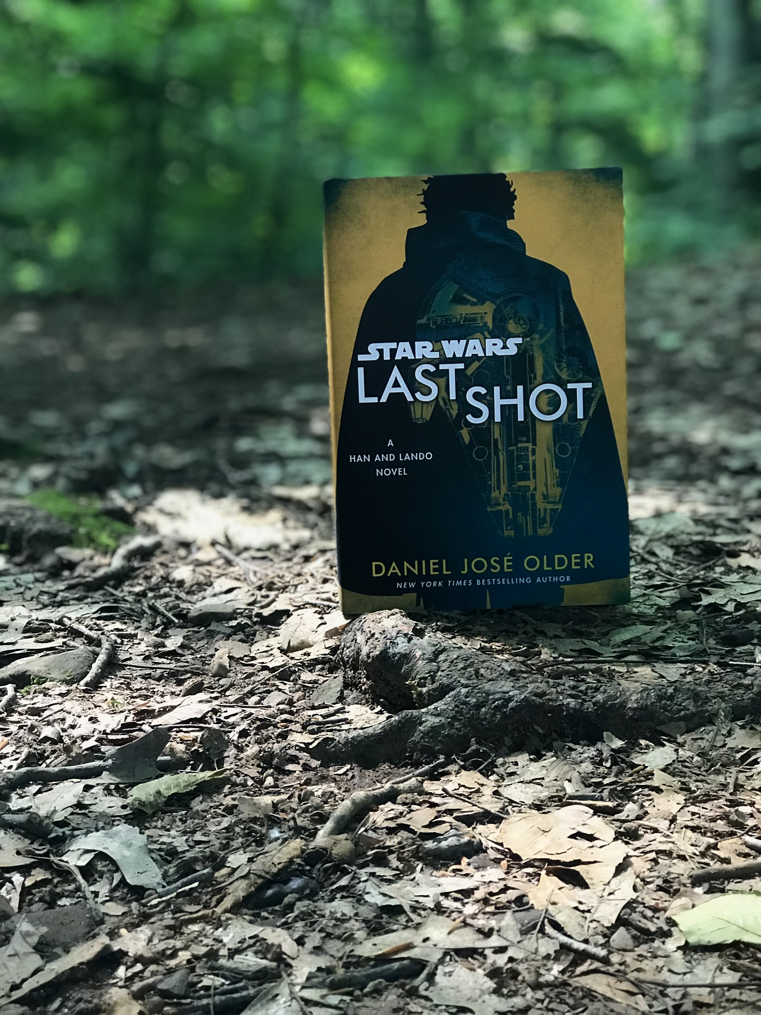 96B80334-2B4E-4614-AC83-EC84E109DEF6