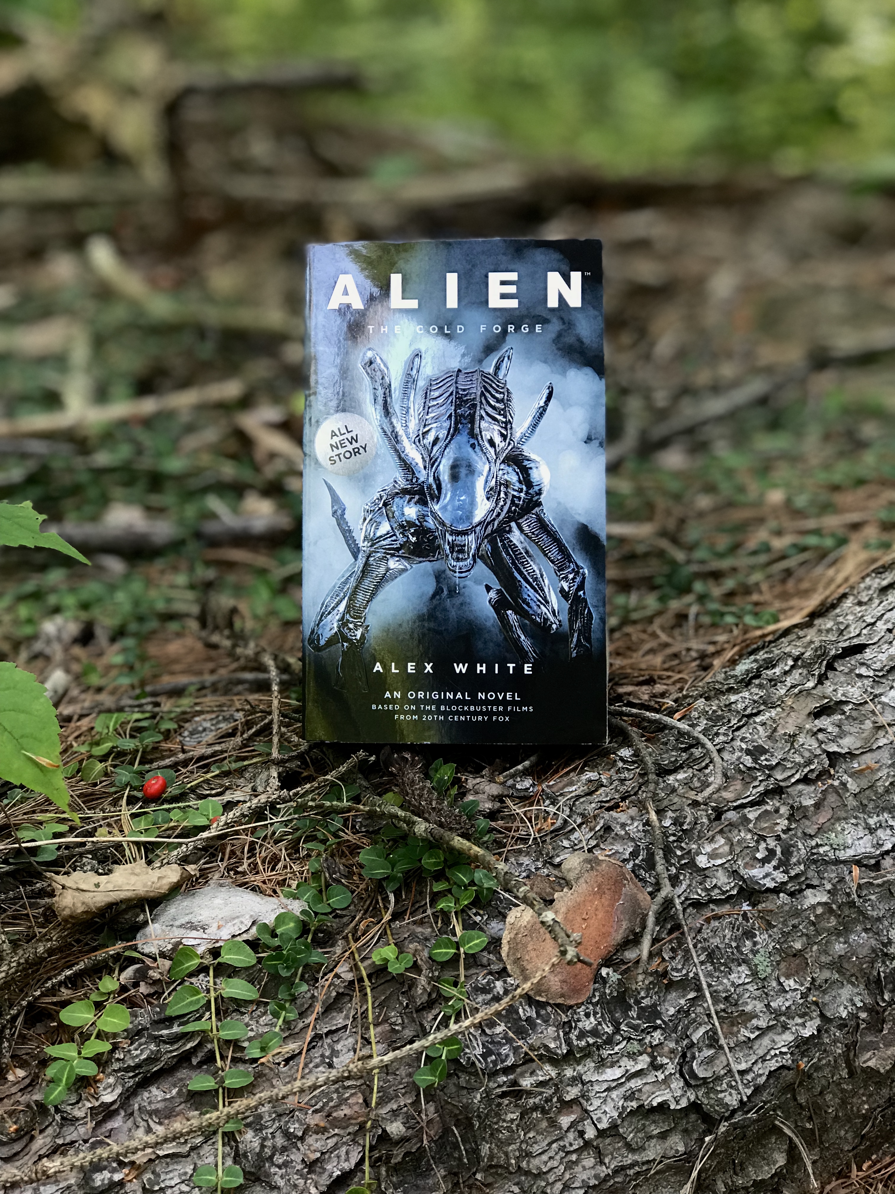 C3420A34-0619-41DC-A9B0-4A23AEC6E510